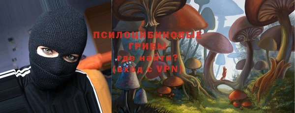 PSILOCYBIN Пестово